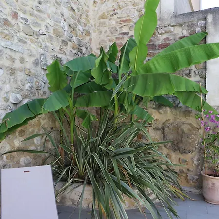 La Maison De Livia, Gite, Et Table D'hotes, Entre Uzes Et Nimes