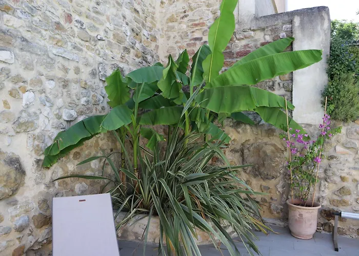 La Maison De Livia, Et Table D'hôtes